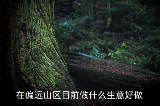 偏遠(yuǎn)城市做什么項(xiàng)目,可用5年。做什么項(xiàng)目好呢