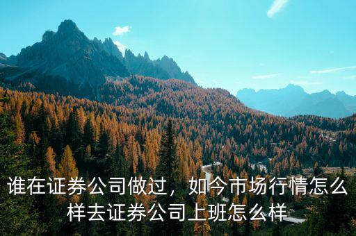 誰在證券公司做過，如今市場行情怎么樣去證券公司上班怎么樣