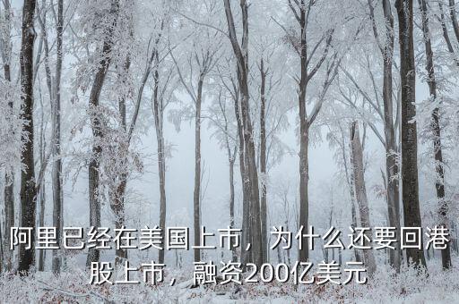 阿里已經(jīng)在美國上市，為什么還要回港股上市，融資200億美元