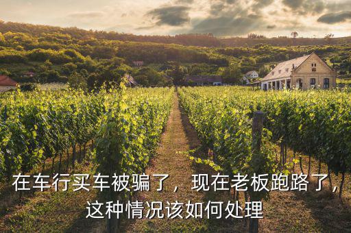 在車行買車被騙了，現(xiàn)在老板跑路了，這種情況該如何處理