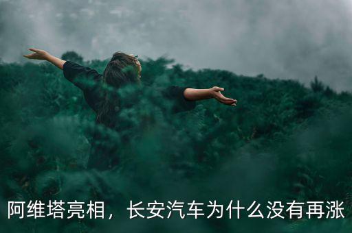 長(zhǎng)安汽車(chē)股票為什么不漲,這類(lèi)股票為什么漲不起來(lái)