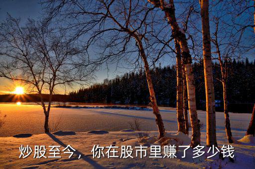 炒股至今，你在股市里賺了多少錢