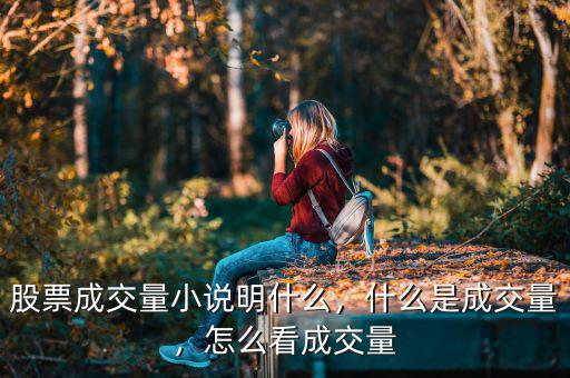 股票成交量小說明什么，什么是成交量，怎么看成交量