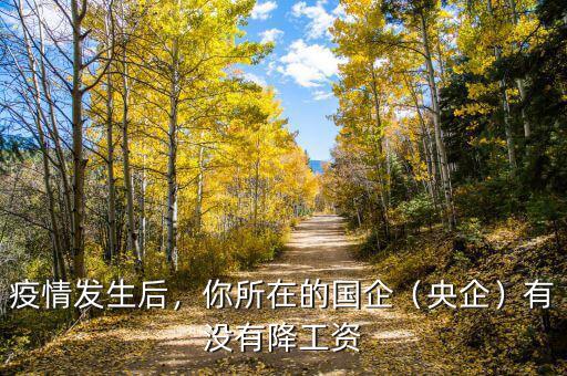 疫情發(fā)生后，你所在的國(guó)企（央企）有沒有降工資