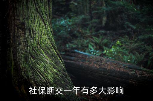 中斷社保有多少人,社保斷交一年有多大影響