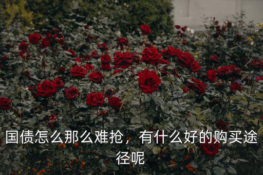 國債怎么那么難搶，有什么好的購買途徑呢