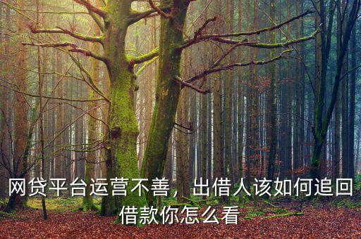 網(wǎng)貸平臺運(yùn)營不善，出借人該如何追回借款你怎么看