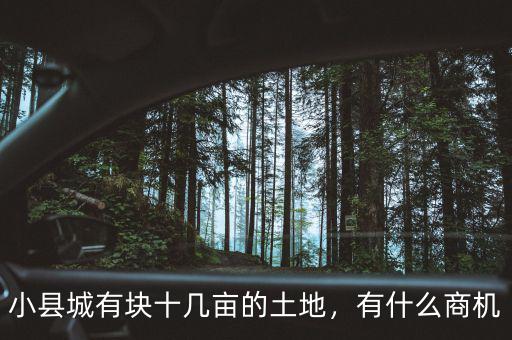 小縣城有塊十幾畝的土地，有什么商機