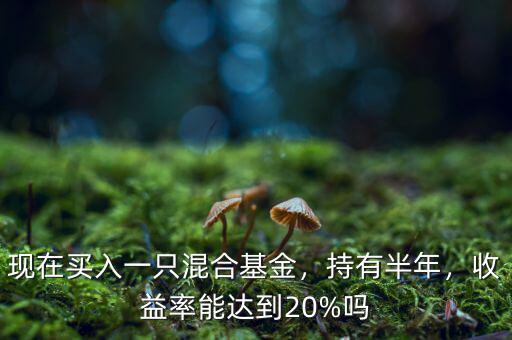 現(xiàn)在買入一只混合基金，持有半年，收益率能達到20%嗎