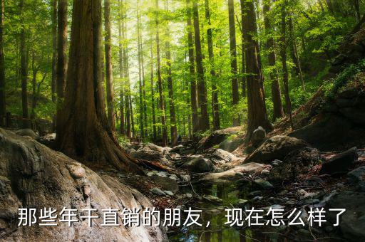 做雅芳直銷(xiāo)怎么樣,創(chuàng)業(yè)選擇直銷(xiāo)行業(yè)怎么樣