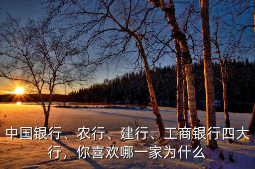 中國銀行、農(nóng)行、建行、工商銀行四大行，你喜歡哪一家為什么