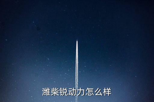 2015年濰柴銳動(dòng)力賣了多少,為什么一年多了
