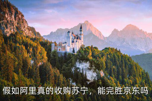 阿里收購蘇寧京東會(huì)有什么行動(dòng),假如阿里真的收購蘇寧