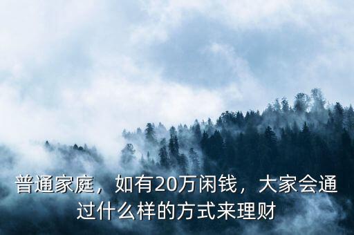 普通家庭，如有20萬(wàn)閑錢，大家會(huì)通過(guò)什么樣的方式來(lái)理財(cái)