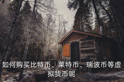 如何購(gòu)買(mǎi)比特幣、萊特幣、瑞波幣等虛擬貨幣呢