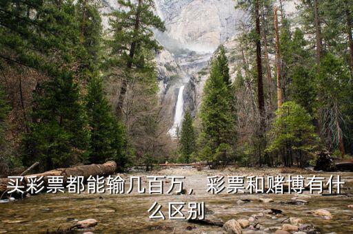 買彩票都能輸幾百萬，彩票和賭博有什么區(qū)別