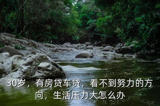 30歲，有房貸車貸，看不到努力的方向，生活壓力大怎么辦