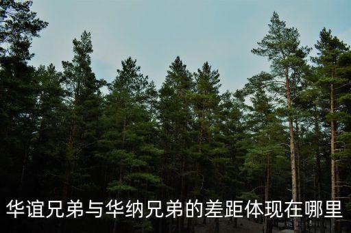 華誼兄弟與華納兄弟的差距體現在哪里