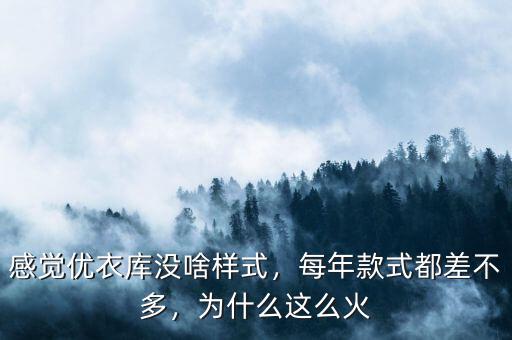 感覺優(yōu)衣庫沒啥樣式，每年款式都差不多，為什么這么火
