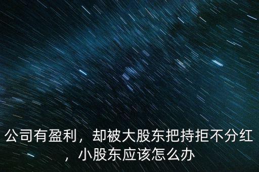 公司有盈利，卻被大股東把持拒不分紅，小股東應(yīng)該怎么辦