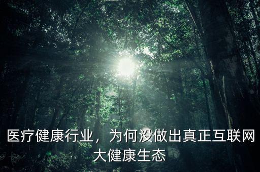醫(yī)療健康行業(yè)，為何沒做出真正互聯網大健康生態(tài)