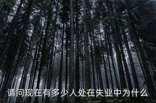 請(qǐng)問(wèn)現(xiàn)在有多少人處在失業(yè)中為什么