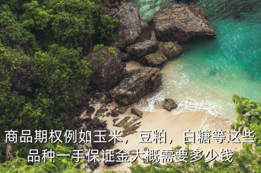 一手期權(quán)多少錢(qián),商品期權(quán)例如玉米