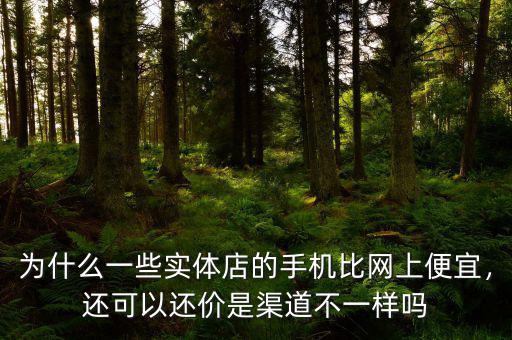 手機(jī)線(xiàn)下渠道是什么,購(gòu)買(mǎi)手機(jī)最關(guān)心的問(wèn)題是什么