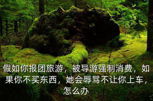 北京旅游強(qiáng)制消費怎么解決,被導(dǎo)游強(qiáng)制消費