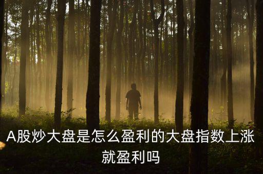 大盤指數是怎么來的,A股炒大盤是怎么盈利的