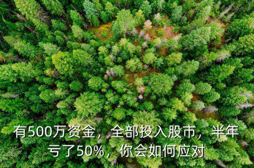 有500萬資金，全部投入股市，半年虧了50%，你會(huì)如何應(yīng)對(duì)