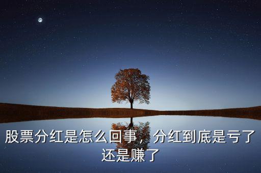 股票分紅怎么賺取利潤(rùn),怎么買(mǎi)股票掙錢(qián)