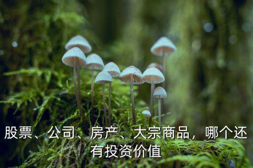 股票、公司、房產(chǎn)、大宗商品，哪個(gè)還有投資價(jià)值