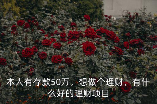 本人有存款50萬，想做個理財，有什么好的理財項目