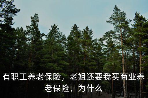 有職工養(yǎng)老保險，老姐還要我買商業(yè)養(yǎng)老保險，為什么