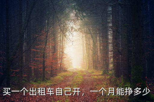 買一個(gè)出租車自己開，一個(gè)月能掙多少