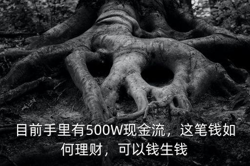 目前手里有500W現(xiàn)金流，這筆錢如何理財，可以錢生錢