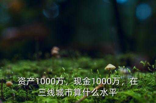 資產(chǎn)1000萬，現(xiàn)金1000萬，在三線城市算什么水平