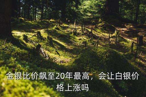 金銀比價(jià)飆至20年最高，會(huì)讓白銀價(jià)格上漲嗎