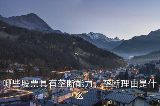 哪些股票具有壟斷能力，壟斷理由是什么