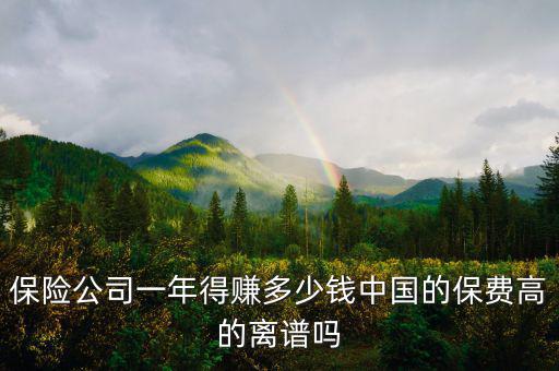 保險業(yè)務(wù)一年能掙多少錢,保險公司一年得賺多少錢