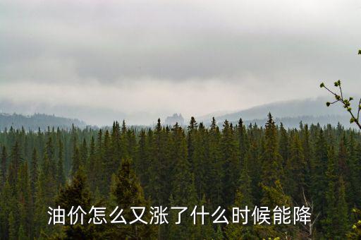 油價怎么又漲了什么時候能降