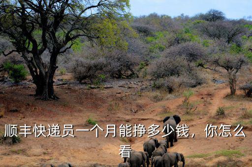 順豐快遞員一個月能掙多少錢，你怎么看