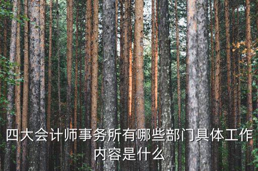 會計師事務(wù)所機構(gòu)代碼是什么,四大會計師事務(wù)所有哪些部門