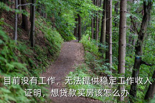 目前沒有工作，無法提供穩(wěn)定工作收入證明，想貸款買房該怎么辦