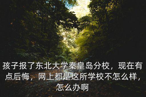 孩子報(bào)了東北大學(xué)秦皇島分校，現(xiàn)在有點(diǎn)后悔，網(wǎng)上都是這所學(xué)校不怎么樣，怎么辦啊