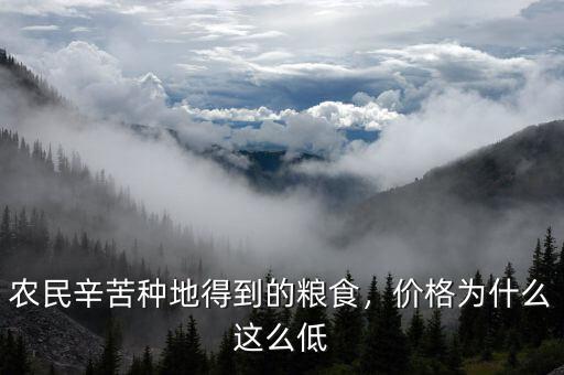 農(nóng)民辛苦種地得到的糧食，價(jià)格為什么這么低