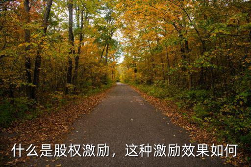 什么是股權(quán)激勵(lì)，這種激勵(lì)效果如何