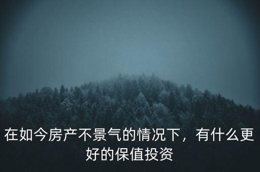 在如今房產(chǎn)不景氣的情況下，有什么更好的保值投資