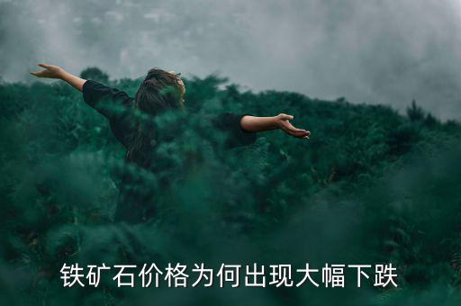 怎么知道鐵礦石港口價(jià)格,為什么鐵礦石價(jià)格暴跌